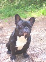 Pas de commentaire. Pas de commentaire.