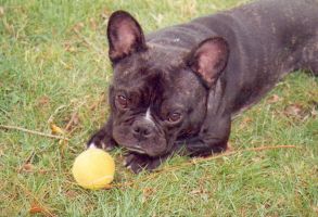 Pas de commentaire. Pas de commentaire.