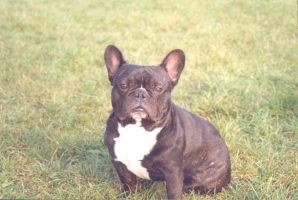 Pas de commentaire. Pas de commentaire.