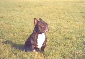 Pas de commentaire. Pas de commentaire.