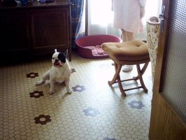 Pas de commentaire. Pas de commentaire.