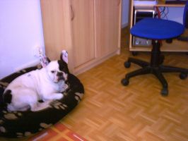 Pas de commentaire. Pas de commentaire.