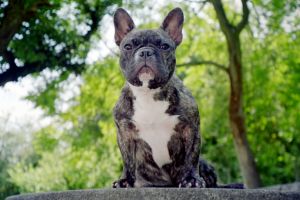 Pas de commentaire. Pas de commentaire.