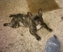 Pas de commentaire. Pas de commentaire.