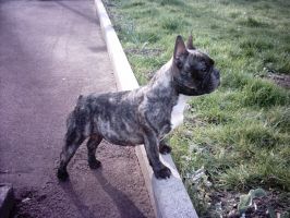 Pas de commentaire. Pas de commentaire.