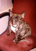 Pas de commentaire. Pas de commentaire.