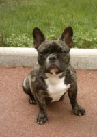 Pas de commentaire. Pas de commentaire.