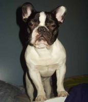 Pas de commentaire. Pas de commentaire.