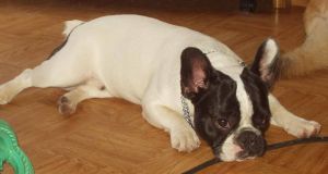 Pas de commentaire. Pas de commentaire.