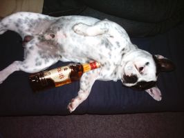 Pas de commentaire. Pas de commentaire.