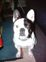 Pas de commentaire. Pas de commentaire.