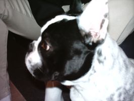 Pas de commentaire. Pas de commentaire.