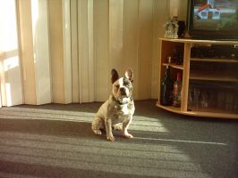 Pas de commentaire. Pas de commentaire.