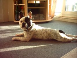 Pas de commentaire. Pas de commentaire.