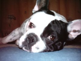 Pas de commentaire. Pas de commentaire.