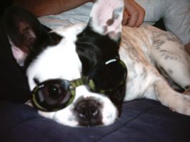 Pas de commentaire. Pas de commentaire.