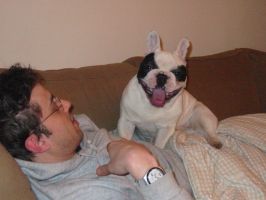 Pas de commentaire. Pas de commentaire.