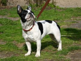 Pas de commentaire. Pas de commentaire.