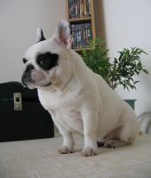 Sortie au resto, très sage la boulette