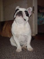 Hé moi aussi j'en veux!