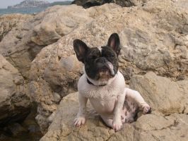 Willow 19 mois et sa cigarette Willow 19 mois et sa cigarette