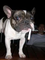 Willow en médidation. Regardez moi dans les yeux SVP Willow en médidation. Regardez moi dans les yeux SVP