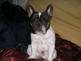 Willow en position préférée. Ne vous moquez pas de moi. Les câlins qu'est ce que c'est bon Willow en position préférée. Ne vous moquez pas de moi. Les câlins qu'est ce que c'est bon