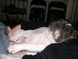 Willow et sa glace. Miam Miam que c'est bon Willow et sa glace. Miam Miam que c'est bon