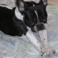 Talia à 3 ans Talia à 3 ans