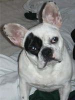 Tania à 2 ans et demi Tania à 2 ans et demi