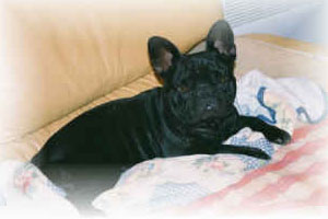 Téva à 2 ans Téva à 2 ans