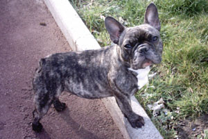 Utopie à 1 an et demi Utopie à 1 an et demi