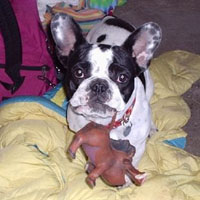 Volodia à 10 mois Volodia à 10 mois