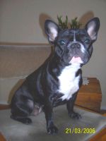 Akylia à 1 an et 1 mois Akylia à 1 an et 1 mois