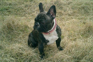 Anys à 1 an et 1 mois Anys à 1 an et 1 mois