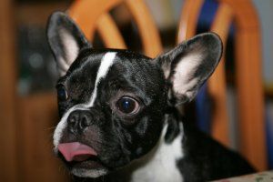 Bwebwe à 3 ans Bwebwe à 3 ans