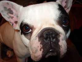 Kalys à 3 ans et demi Kalys à 3 ans et demi