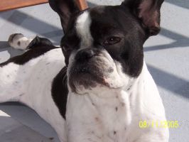 Lutty à 2 ans Lutty à 2 ans