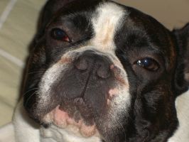 Phélix à 4 ans Phélix à 4 ans