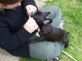 C'est une des rares photos où j'ai bien voulu poser, je vous fais même un petit clin d'oeil!!! C'est une des rares photos où j'ai bien voulu poser, je vous fais même un petit clin d'oeil!!!