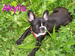 Mon p'tit sourire de starlette! Mon p'tit sourire de starlette!