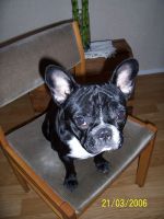 Pas de commentaire. Pas de commentaire.