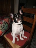 Pas de commentaire. Pas de commentaire.