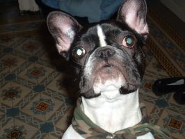 Pas de commentaire. Pas de commentaire.