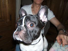 Pas de commentaire. Pas de commentaire.