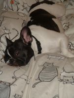 Pas de commentaire. Pas de commentaire.