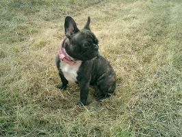 Bizzard non? Bizzard non?