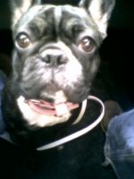 Pas de commentaire. Pas de commentaire.