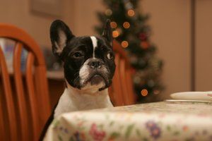 Ouvre-moi la porte! Je caille.