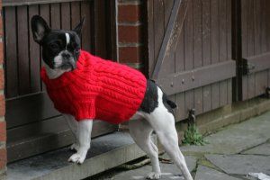 Vous avez vu mon look, avec mon polar.